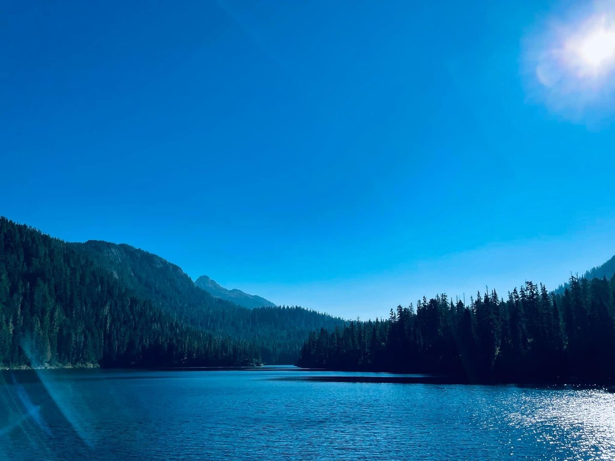 Perfect blue day at the lake #TuesdayBlue #nature #lake #bluesky