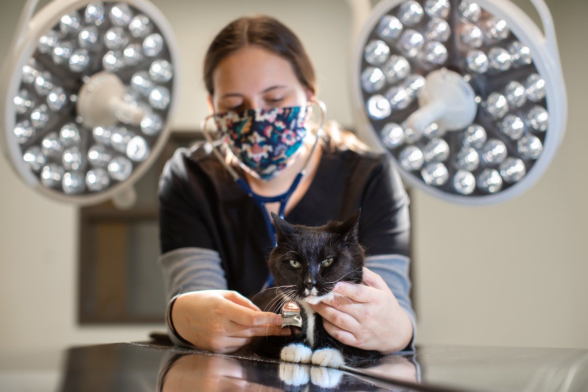 PennWCalAdm's tweet photo. It's Vet Tech Appreciation Week! Thanks to all vet technicians who help keep our animal friends healthy and happy! https://t.co/xLbn8PCrJP