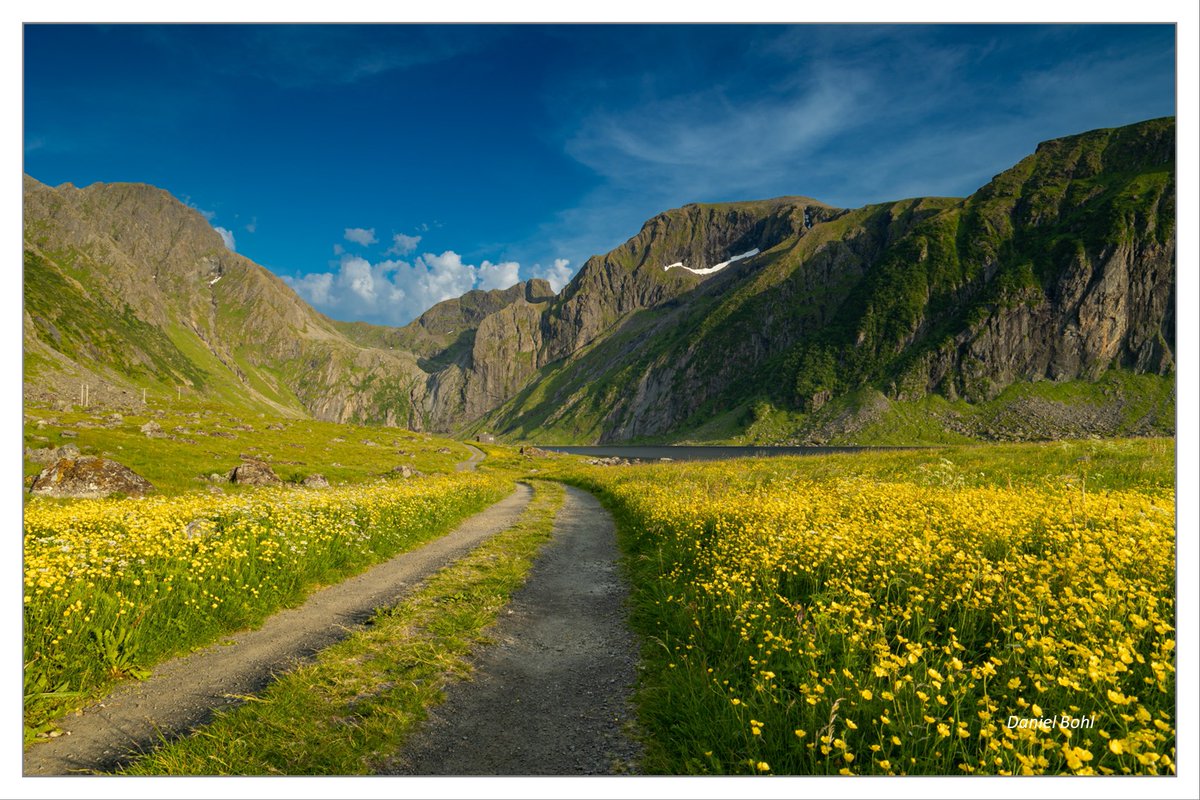 DanielBohlMV's tweet photo. Eggum, Lofoten
- 28. Juni 2022

In loser Reihenfolge Bilder meiner Fotoreise auf die #Lofoten (35/x)

#Fotografie #Norwegen #Eggum #Berge #Meer #Fjorde #Filterfotografie #Steine #Nordmeer #Fotoreise #Küste #Landschaftsfotografie #visitnorway #Nordland #Vestvagøy #norway #norge https://t.co/bX2q9CkdHG