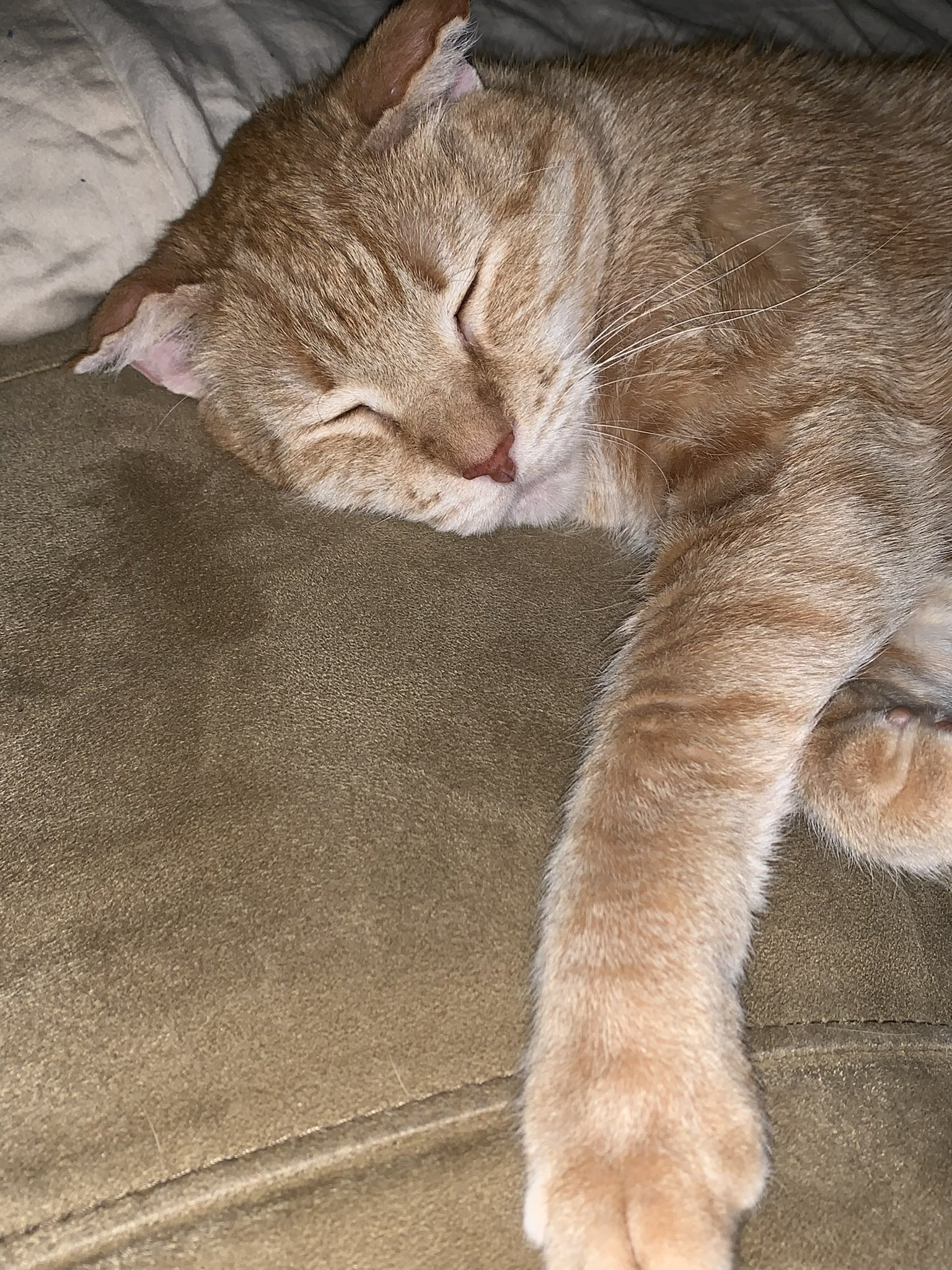 Liz Schultz 🤍 on Twitter "This is a hard one. I am putting my 17 year