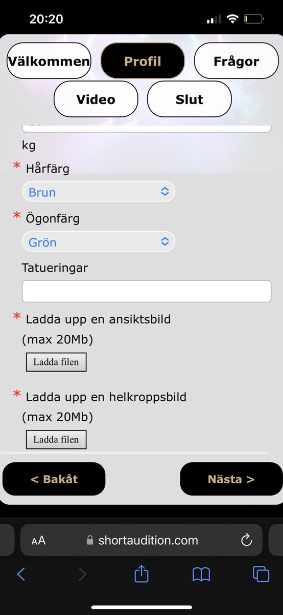 Vad är er mentala hälsonivå ikväll på en skala helt okej - fyllde nästan i hela anmälan till ett dejtingprogram proddat av Mastiff:)