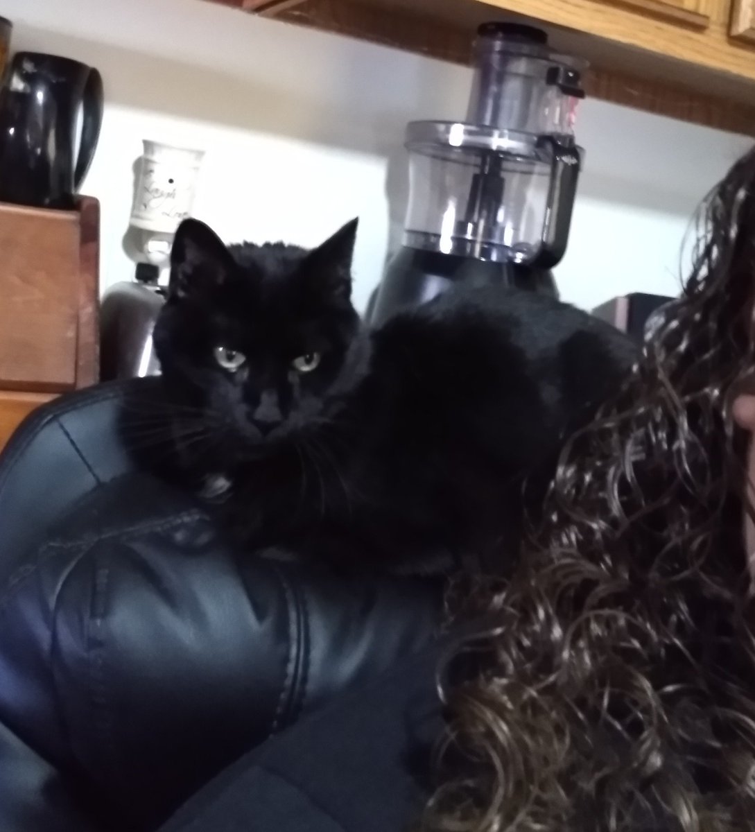 SweetLillyM's tweet image. I'm going to miss this sweet girl. RIP Abby! 2009-2022 💔