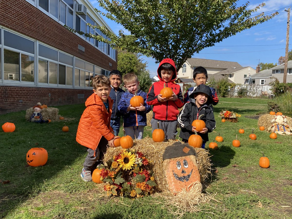 Lisa Mueller tweet media