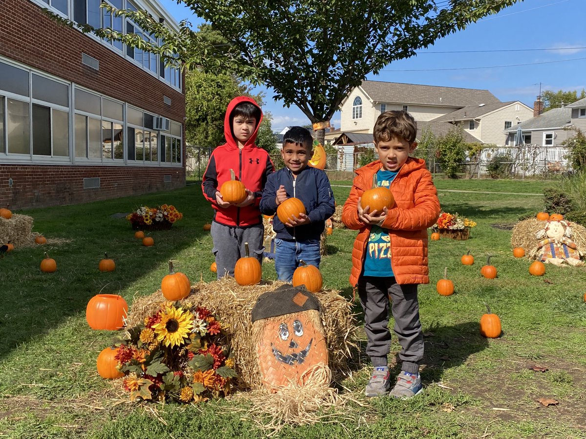 Lisa Mueller tweet media