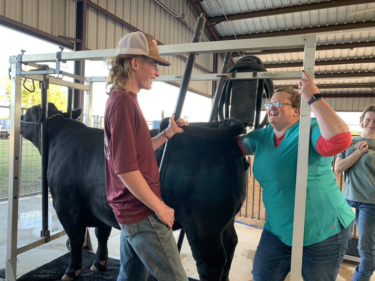 Mrs.V's Classroom tweet media