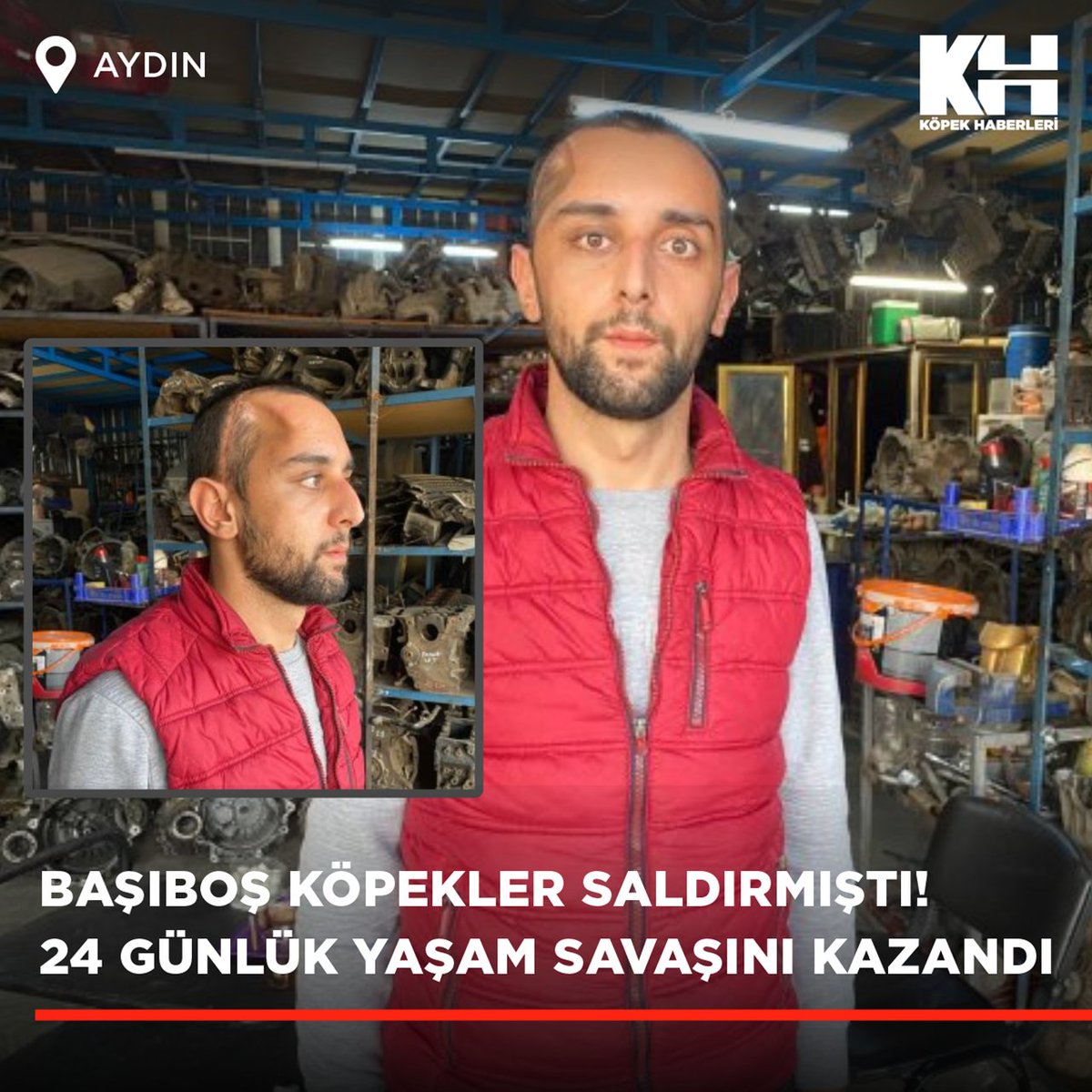 Aydın'ın Nazilli ilçesinde motosikletiyle seyir halindeyken başıboş köpeklerin saldırısı sonucu kaza yaparak ağır yaralanan Yiğit Kabasakal, yoğun bakımda geçirdiği 24 günlük yaşam savaşını kazandı. (Haber:@NazilliHavadis)