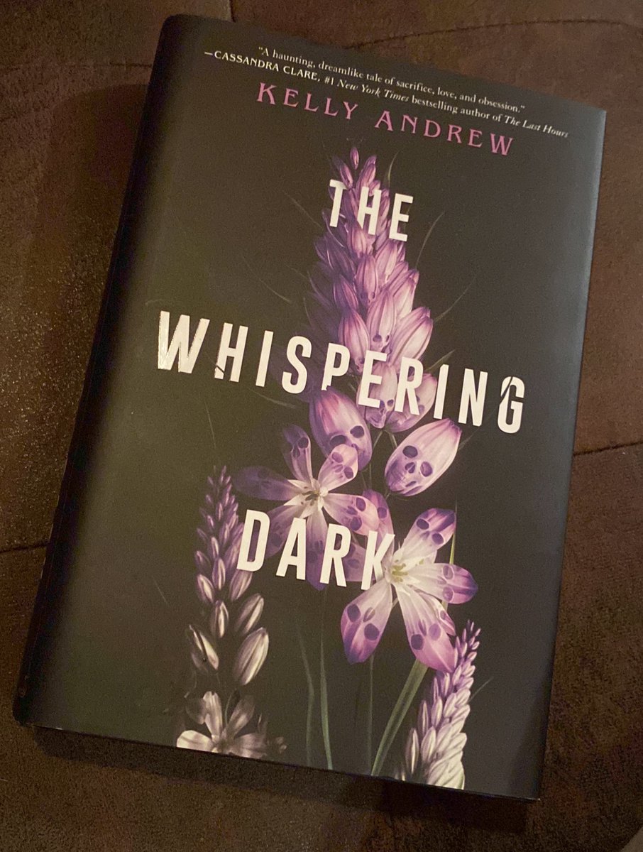 Dani 🦌 tweet media