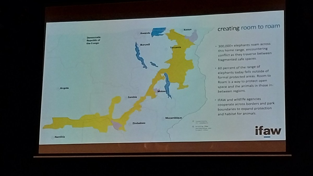 talkingkoala's tweet image. #GERConnect22 @JJMandima fantastic work @ifawAU @ifawglobal landscape species #RoomToRoam for 🐘 🐘 also applies to 🐨🐨🐨