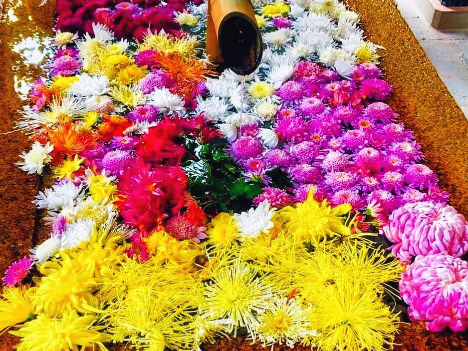 michitoshi428's tweet photo. 『一片氷心』

鎌倉・鶴岡八幡宮の花手水の四季🌾

お礼の気持ちのRTが誤解を招き、誠に申し訳ありませんでした。

皆様の幸せをお祈り致します。 https://t.co/F9WcSGOJae