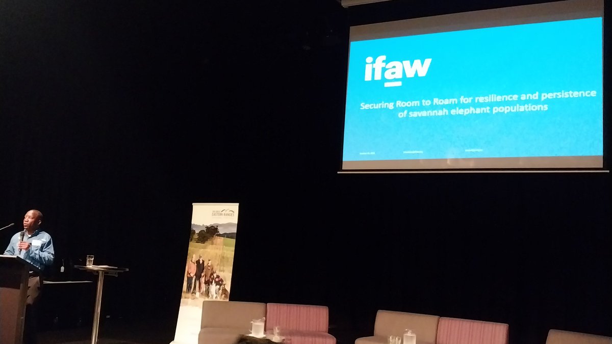 talkingkoala's tweet image. #GERConnect22 @JJMandima fantastic work @ifawAU @ifawglobal landscape species #RoomToRoam for 🐘 🐘 also applies to 🐨🐨🐨