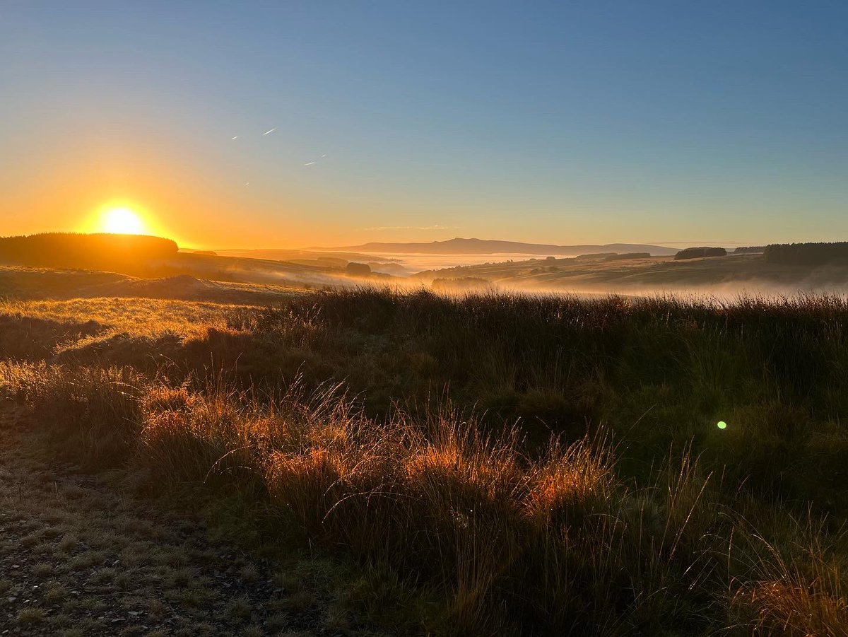 23 Parachute Engineer Regiment tweet media