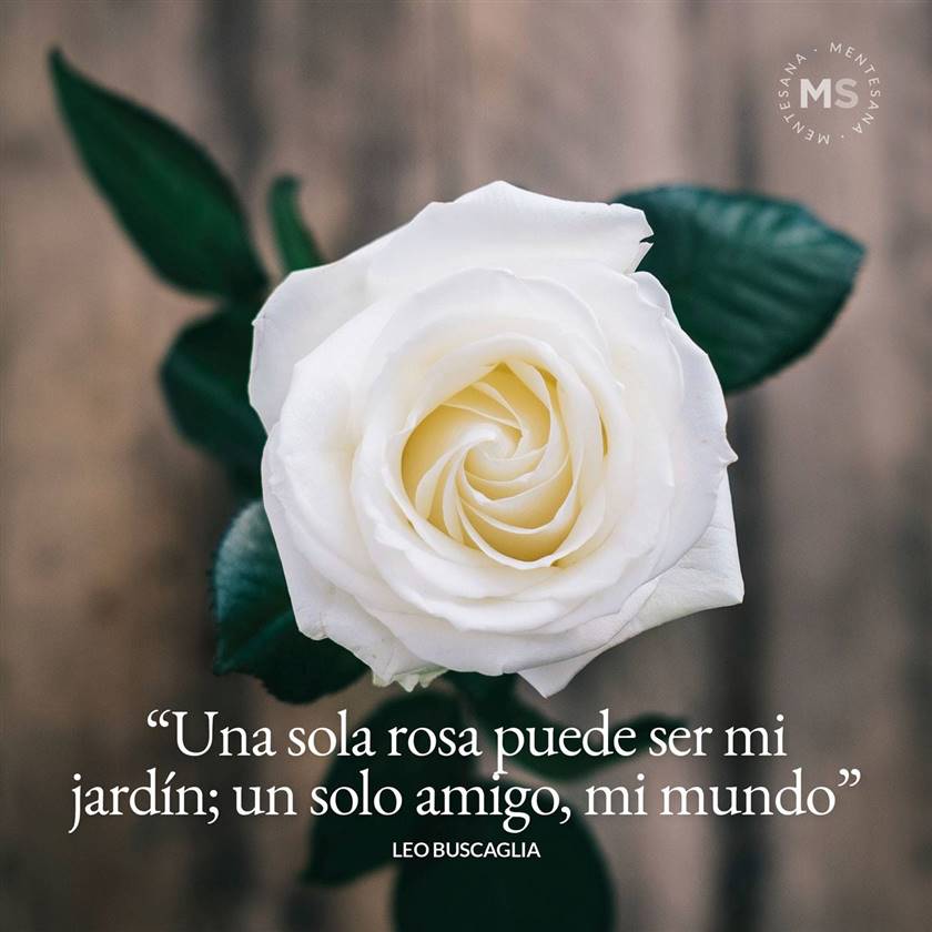 kIimKlein's tweet photo. @Mone_fb @Alaayous3 @jlj122 @fabianaaid @0Ain1 @21KAREL @fryld @ginestarros @nadjat1986moh @tti____ @9x2tS @y11j3 @DineshD40823229 @shd0016 @BeerAdel2 @FelicPalma @bessaoudik @nona__1968 @BeatriceLacy @xxxxaxaaaa @GautoNiko @101_rangel https://t.co/kSWLffqjCH