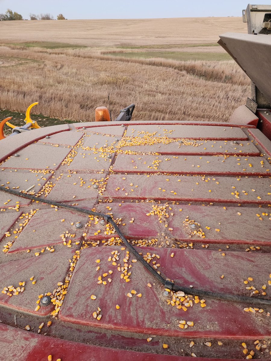 Cab Corn 
Badge of honor?
Walk of shame?