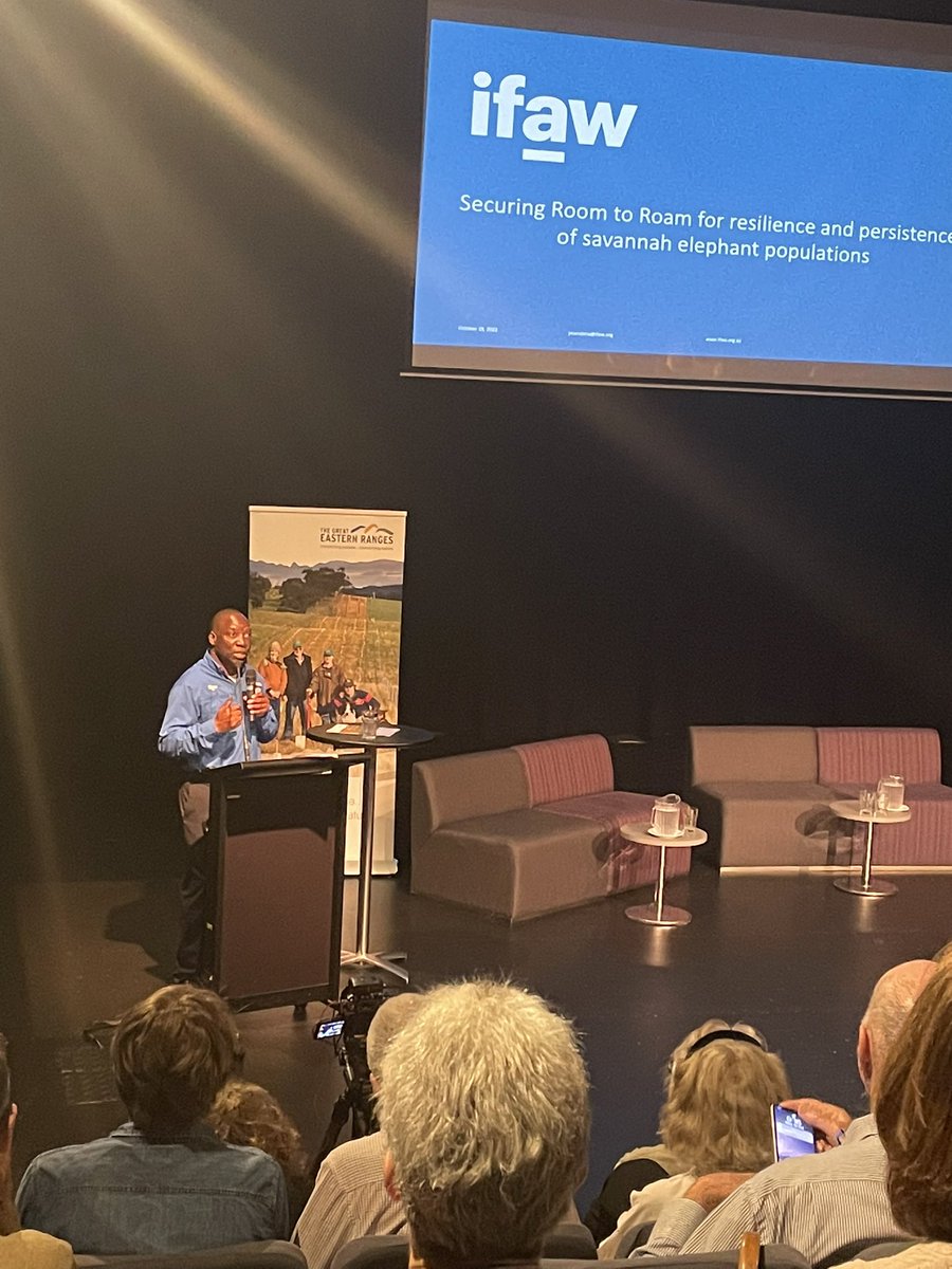 GreatEasternRanges (@ger_initiative) on Twitter photo Kicking off day 2 of Connecting People, Connecting Nature by taking inspiration from others - Dr Jimmiel Mandima sharing the vital work of <a href="/ifawglobal/">ifaw</a> linking fragmented landscapes together so elephants in East & Southern Africa can move safely.
#GERConnect22 
<a href="/ifawAU/">ifaw Australia</a> Kicking off day 2 of Connecting People, Connecting Nature by taking inspiration from others - Dr Jimmiel Mandima sharing the vital work of <a href="/ifawglobal/">ifaw</a> linking fragmented landscapes together so elephants in East & Southern Africa can move safely.
#GERConnect22 
<a href="/ifawAU/">ifaw Australia</a>