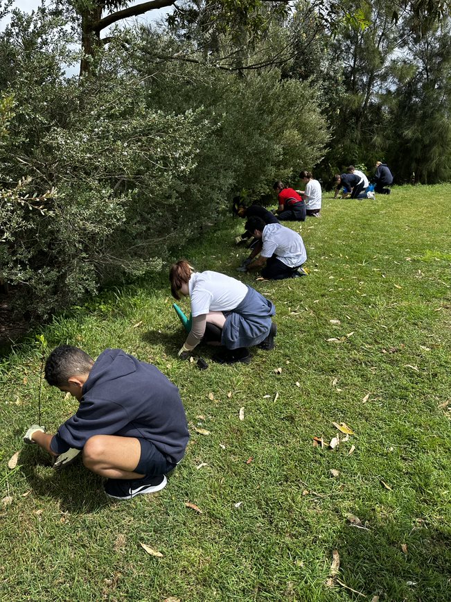 Rose Bay SC tweet media