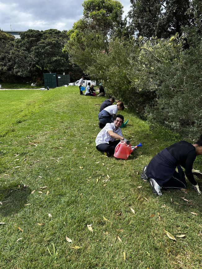 Rose Bay SC tweet media