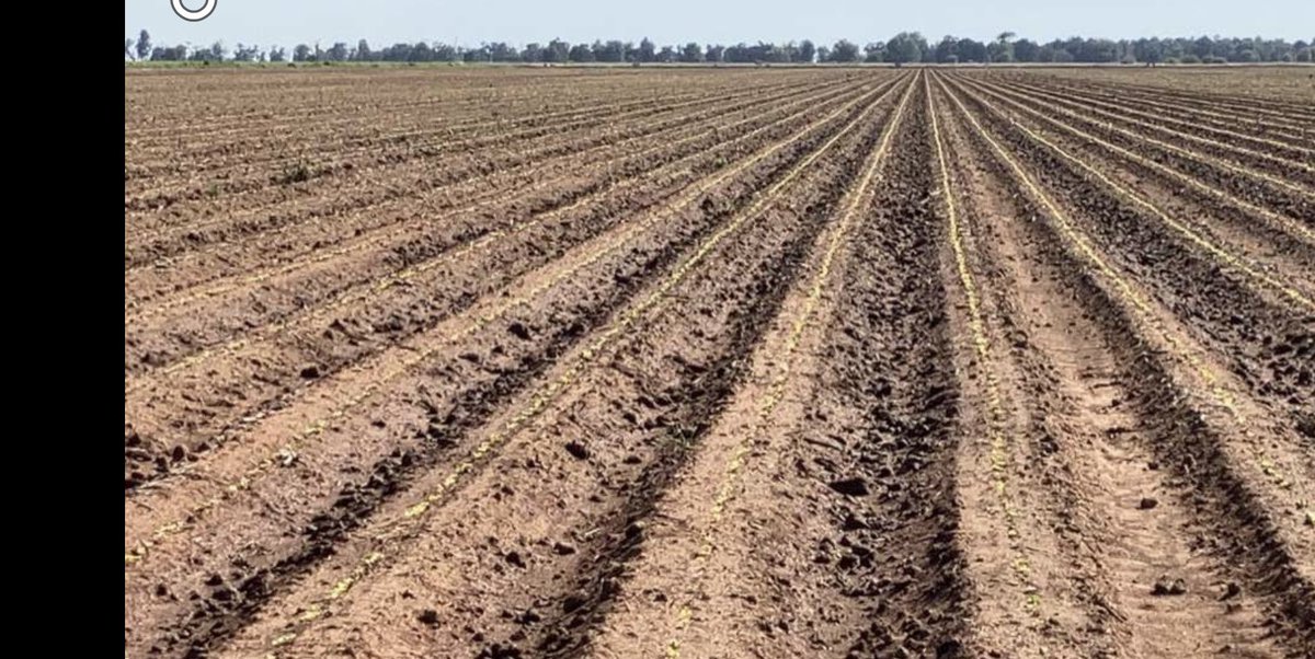 farmercate tweet media