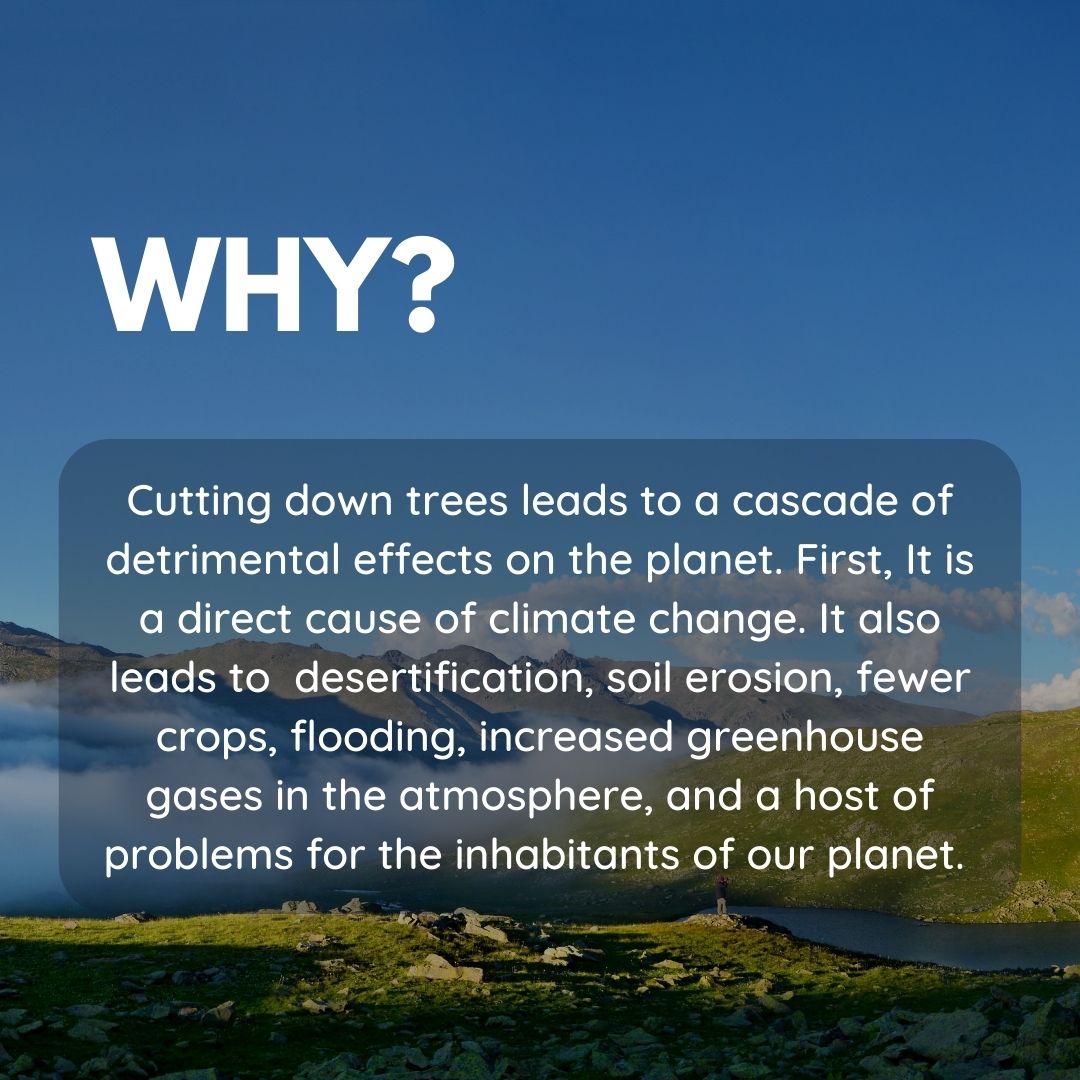 #SDGAction In light of the recent United Nations Global Assembly and recent Climate-focused discussions, we will start off with Sustainable Development Goal 13: Climate Action!
#ClimateAction #ClimateWeek #CircularEconomy #SustainableDevelopment #GlobalGoals #Sustainability