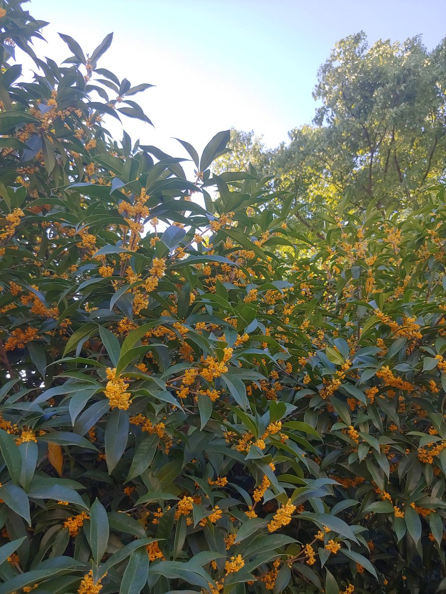 虽晚,但不缺席...