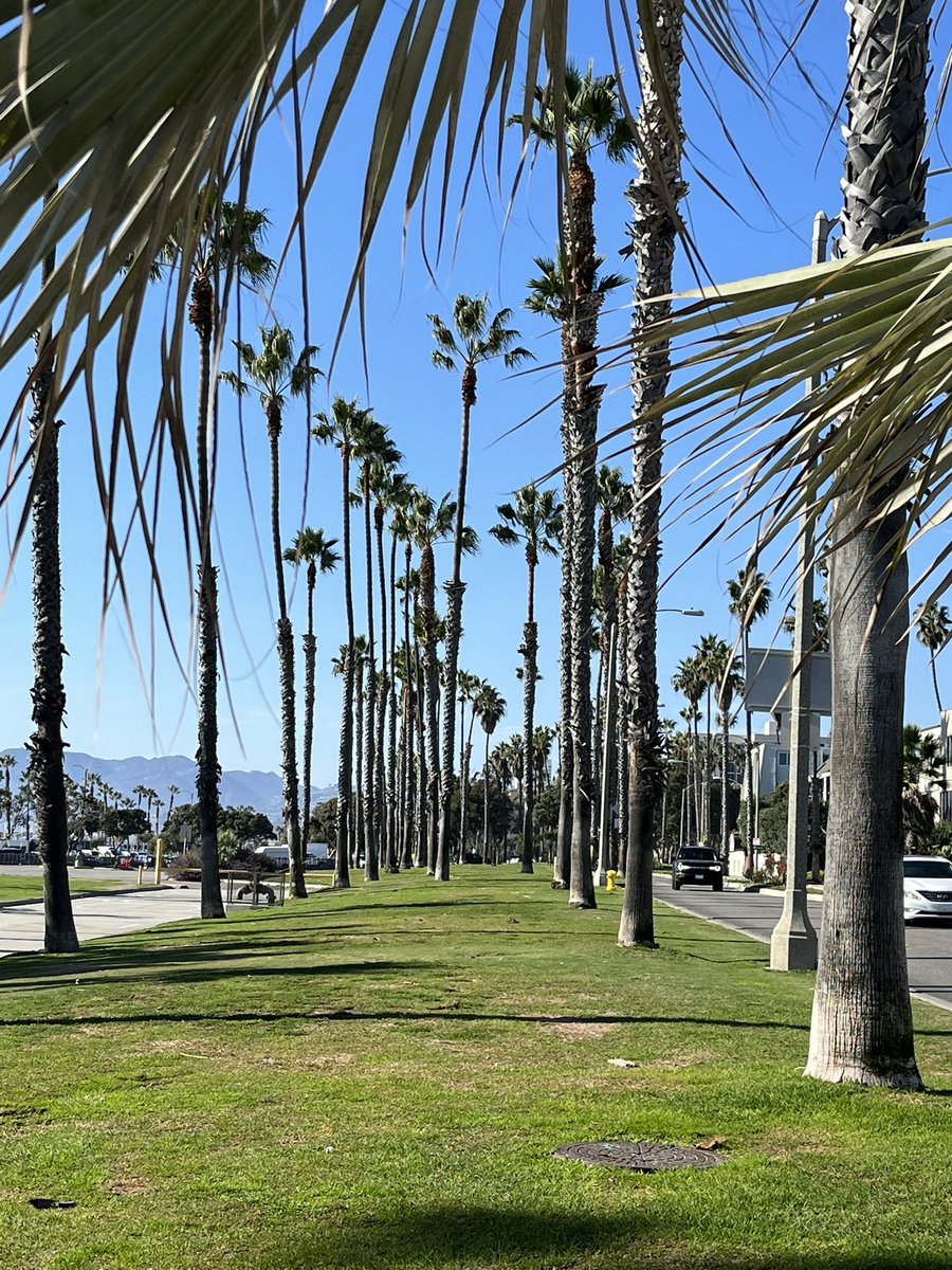 SchindsOnTour's tweet photo. Tuesday #SantaMonica #HousesittingLife #LivingInLaLaLand https://t.co/ho4ops6aU4