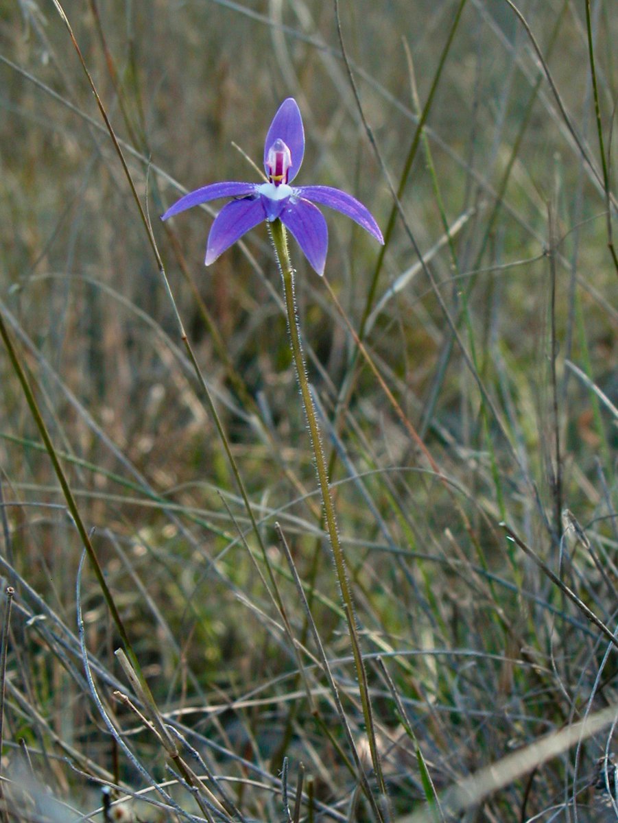 Gordon Smith tweet media