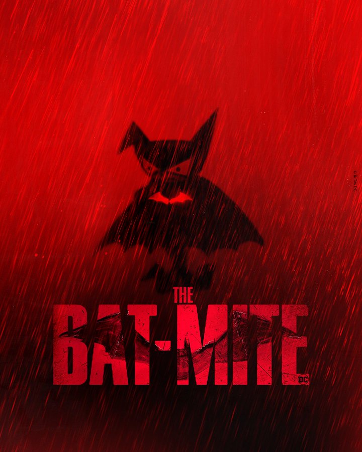 🦇C A S S🦇 tweet media