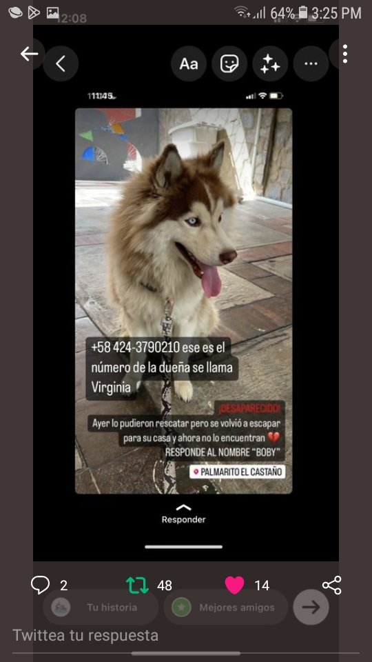 #SeBusca a Boby MARACAY - El Castaño RT <a href="/RamosYlsia/">Yasilmar</a>: