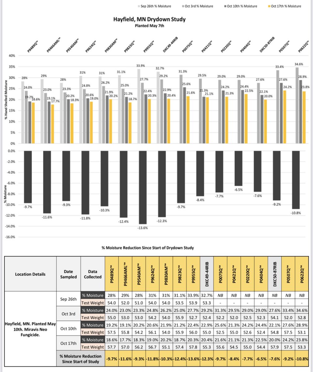Allie Wise tweet media