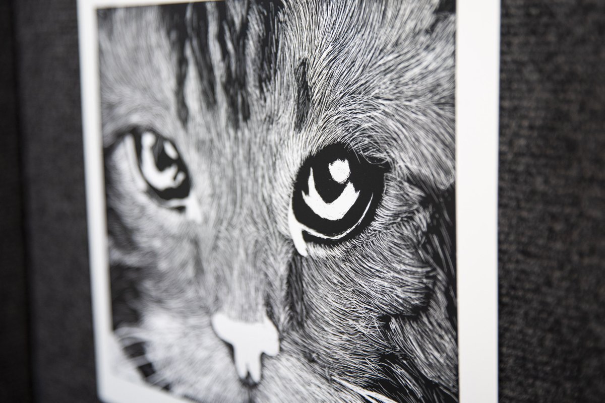 Only two weeks left to enjoy the LSR7 Fall Art Show at <a href="/MCPLMO/">MidContinent Library</a> Lee's Summit Branch!

Yesterday, the middle school art work was installed. It will be on display through October 31.

#R7Proud