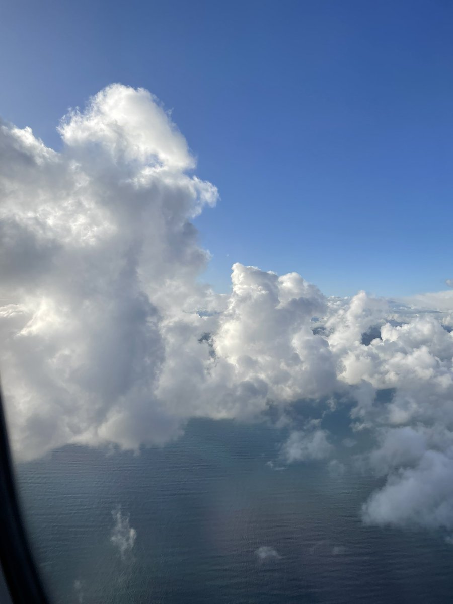 DrSarahNicolson's tweet image. Wall of cloud guarding the crazy calm Wellington harbour this morning. Flying in for the @ANZCA NZ National Committee meeting Thursday ahead of #CSCwgtn2022 and #NeuroSIG22. Thanks to the Wellington office for hosting, and putting on such a beautiful day