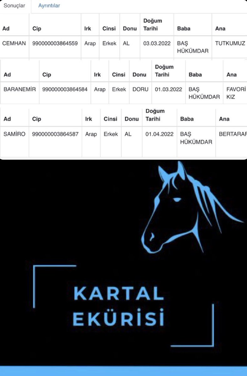 2022 Doğumlu Taylarımız,Ayaklarınız Düz Bassın Evlatlar Babanızın İzinden Gidin.