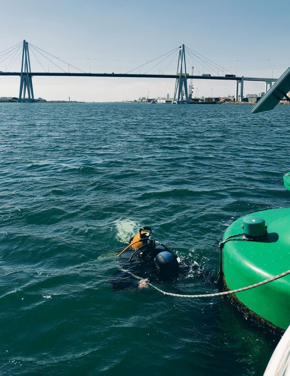 Eper7's tweet photo. The maintenance of the array of acoustic receivers to track marine fauna movements continuous!  📍  Mondego River #coastnet  
 @MARE_centre  @univdeevora  @AquaticTracking https://t.co/kwnbQ7vtCV