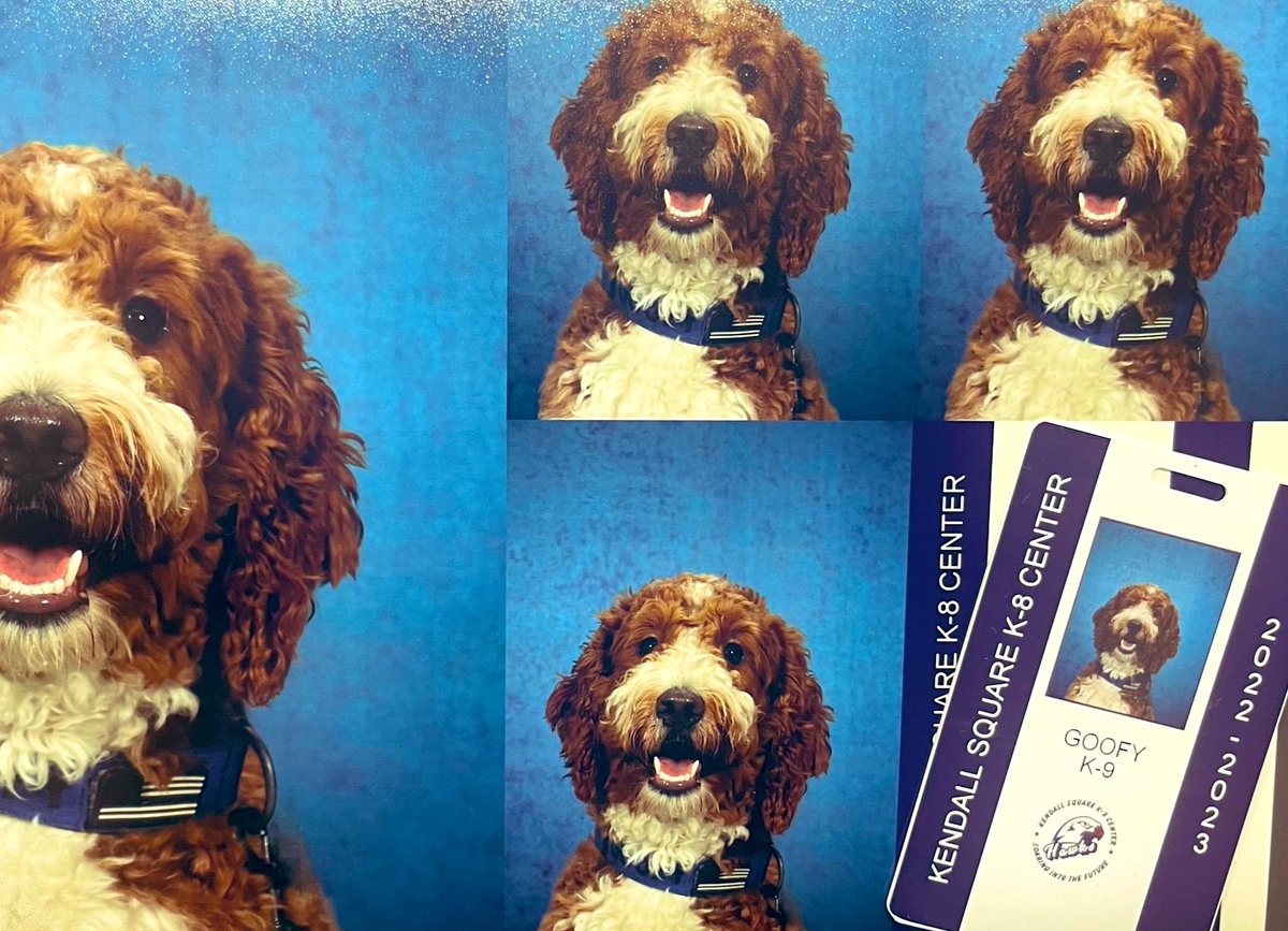Goofy got his school pictures and ID today <a href="/KSK8Hawks/">Kendall Square K-8 Center</a> #BackTheBlue