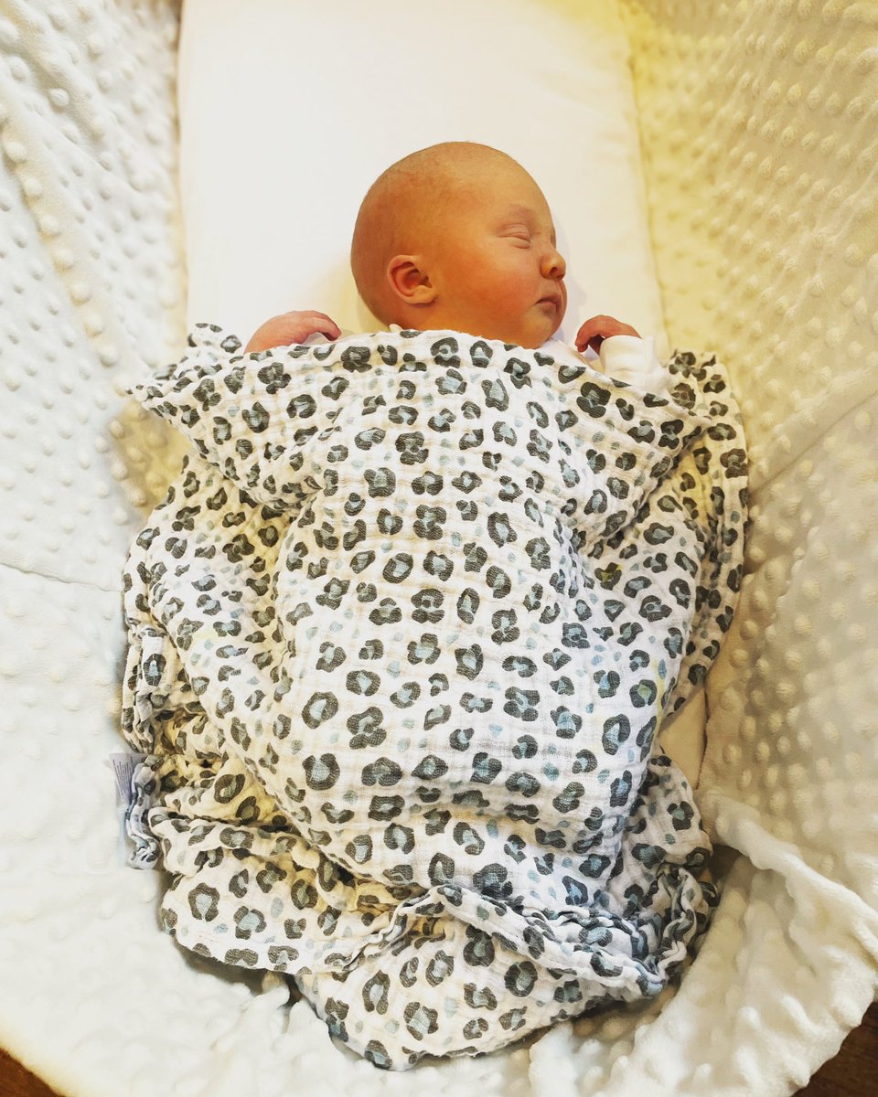 Katie Wray tweet media