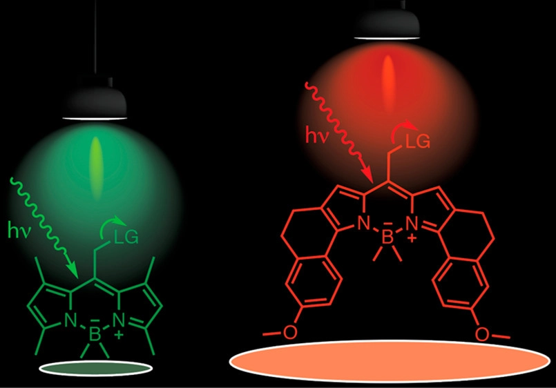 JOC_OL's tweet photo. Check out the photochemical efficiencies for caging different functional groups with the latest-generation green-light and red-light labile BODIPY photocages. Colorful new work in #JOC by @ArthurHWinter and team https://t.co/kaneK5wmbR https://t.co/KtmS9S5Xir