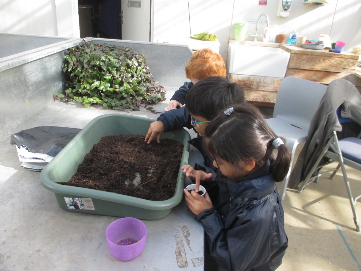 Reception at Staines Prep tweet media