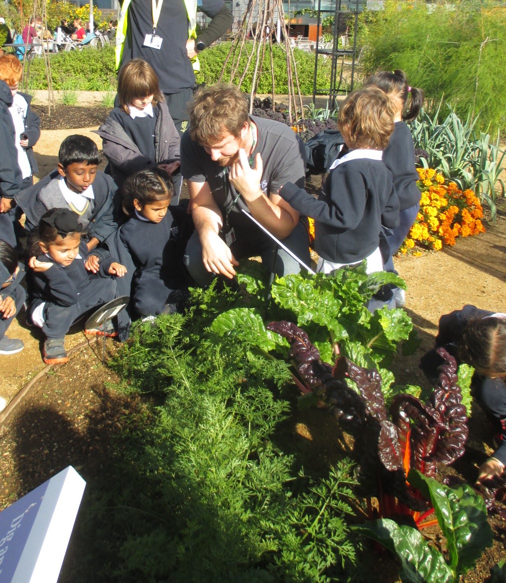 Reception at Staines Prep tweet media