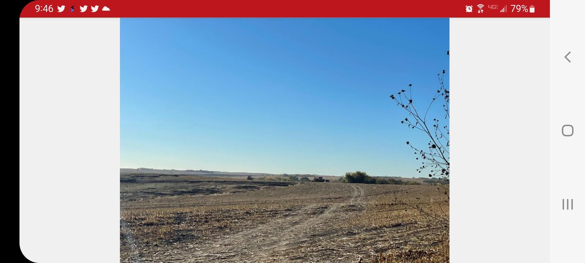 Richard84275912's tweet photo. $niobf #Niocorp
10/18 NEW PICS AT THE MINE SITE AND THEY ARE GETTING IT DONE VERY FAST. LOTS OF TREES AND BRUSH ARE GONE.
(thanks for the pics Todd)
GO TEAM NIOCORP GO!!
#NioCorp #NB.TO #NIOBF #BR3 #Niobium #Scandium #rareearth #neodymium #dysprosium #terbium #ElkCreek https://t.co/if6d3tEHdW