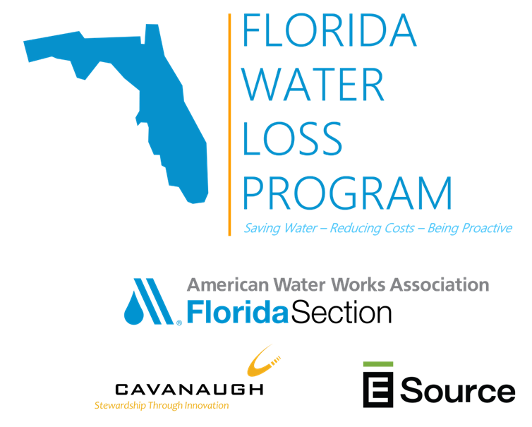 __CAVANAUGH__'s tweet photo. Today the Florida Section of @awwa announced the statewide Florida Water Loss Program - a FREE training and technical assistance program available to #FLwater utilities. Space is limited! For more info: https://t.co/qkdKhpUzks https://t.co/fZQRWLO92Z