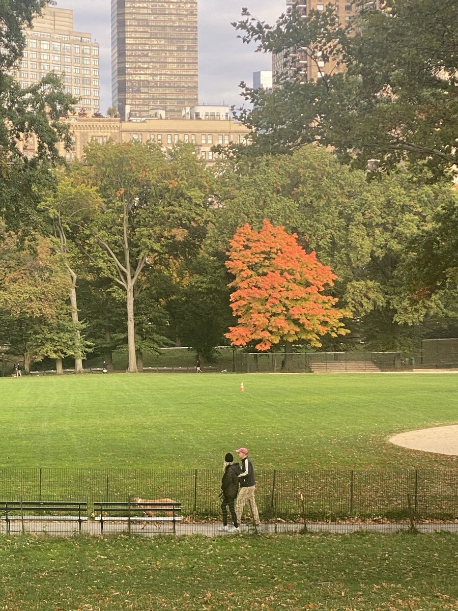ntengler's tweet photo. #NYCfall #centralpark when in doubt, stand out! https://t.co/keah3huEGi