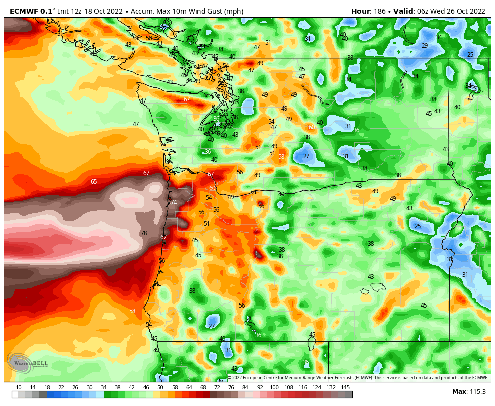 Michael Snyder tweet media