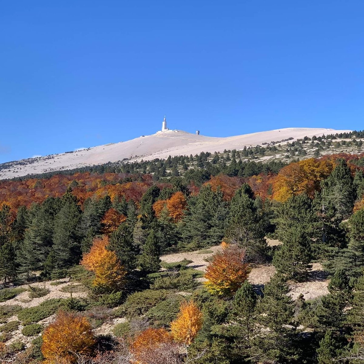 saultprovence's tweet photo. Magnifique journée d Automne au Ventoux 
#vaucluse #ventoux https://t.co/mcfqdjvfEl