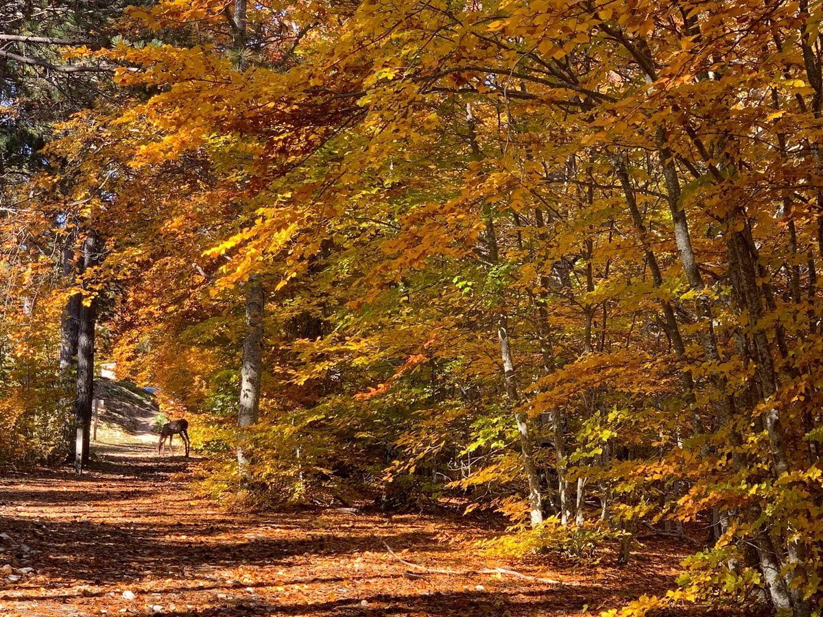 saultprovence's tweet photo. Magnifique journée d Automne au Ventoux 
#vaucluse #ventoux https://t.co/mcfqdjvfEl