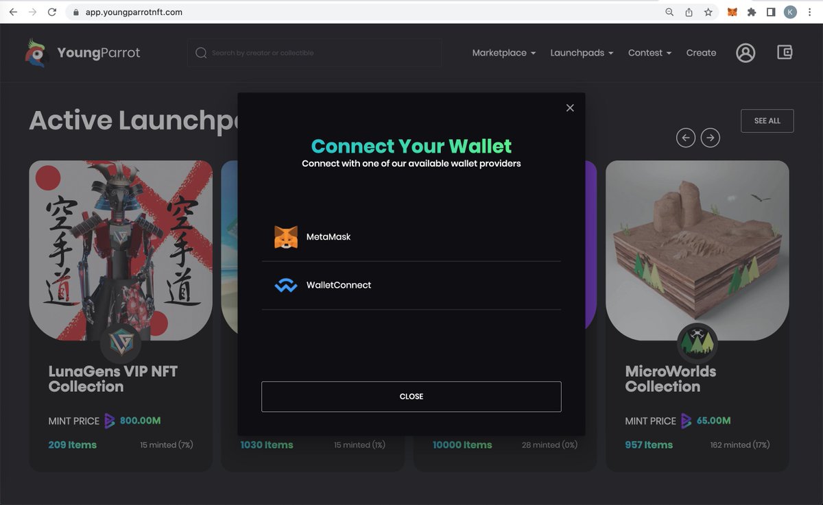 YoungParrot tweet media