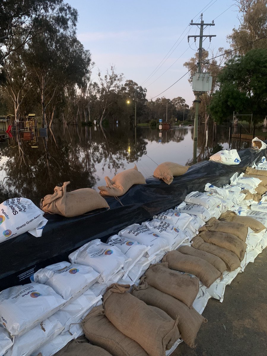 mjrowland68's tweet photo. Moama, NSW. #NSWfloods @breakfastnews https://t.co/3ATYMo3NHr