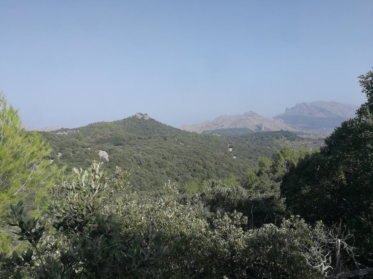 #GR221 Day 10: Lluc - Pollenca