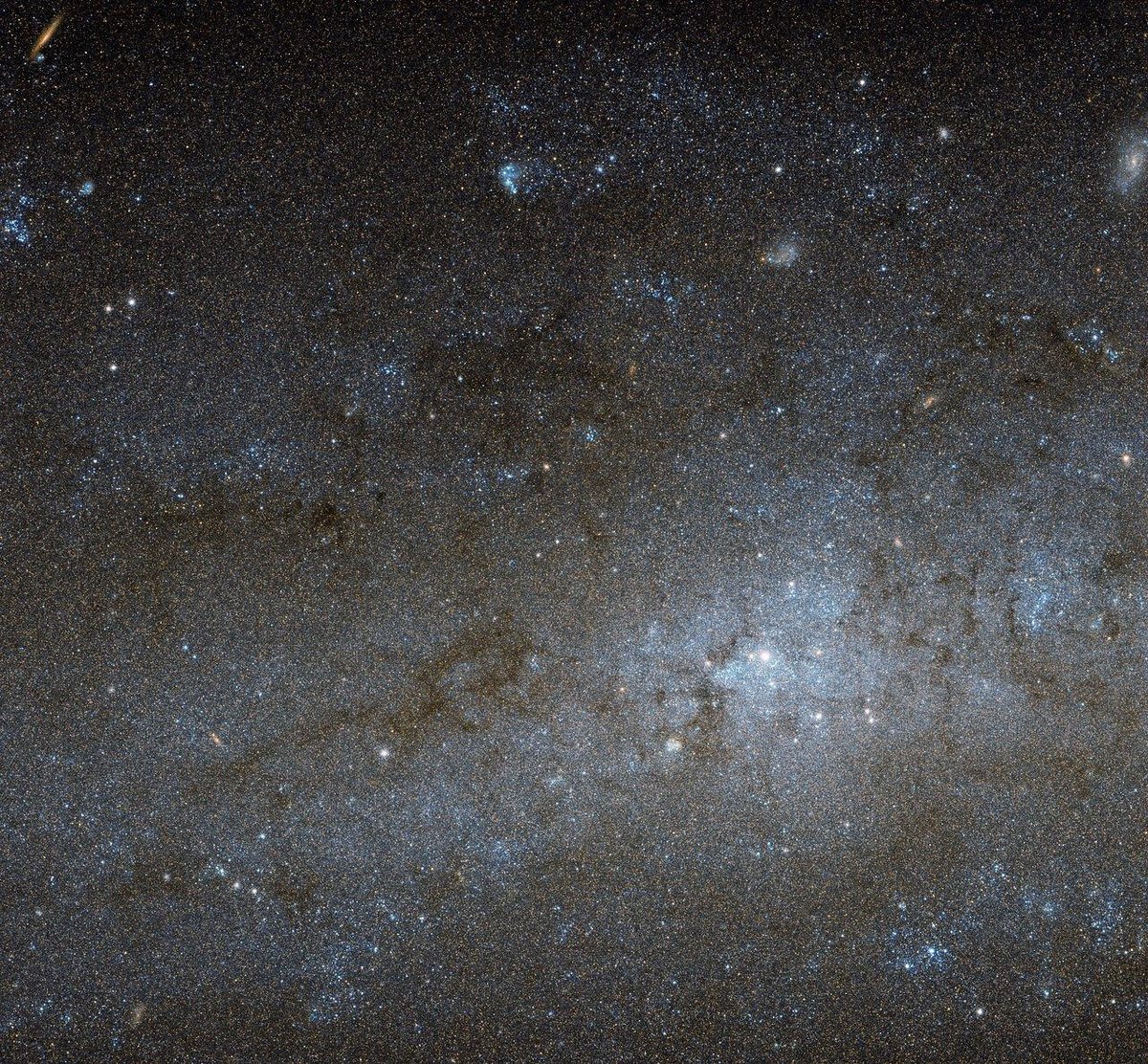 Needle’s Eye Galaxy 🪡 This #HubbleClassic view unveils a galaxy about 11 million light-years away from us. It earned its nickname because one end of the galaxy is strangely empty of stars (not seen in this image of the starry center): go.nasa.gov/3eI55gP