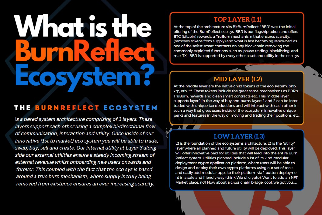 BitBurnReflectOfficial tweet media