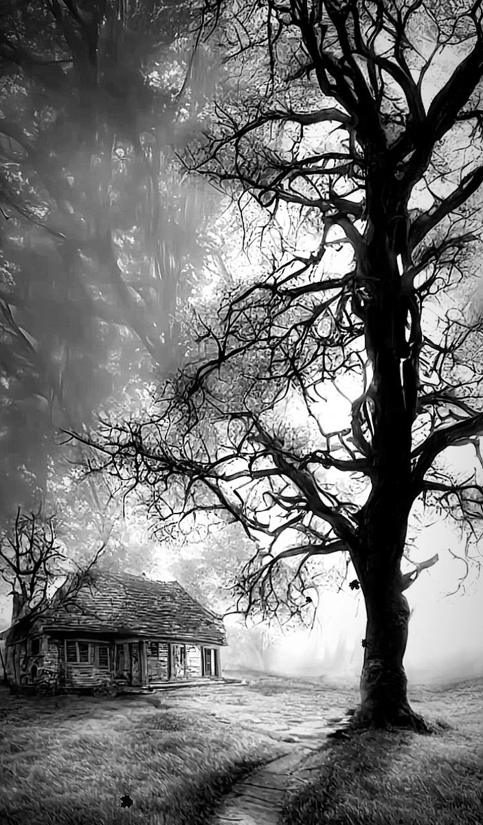 clicks1222's tweet image. Stand tall!
Share ur bw pic, will retweet the best ones
#blackandwhite #bnw #monochrome #monoart #bnw_society #bw_lover #bw_photooftheday #photooftheday #bw #bw_society #bw_crew #bwwednesday #bwstyles_gf #irox_bw #bwstyleoftheday #monotone #monochromatic#noir #fineart_photobw
