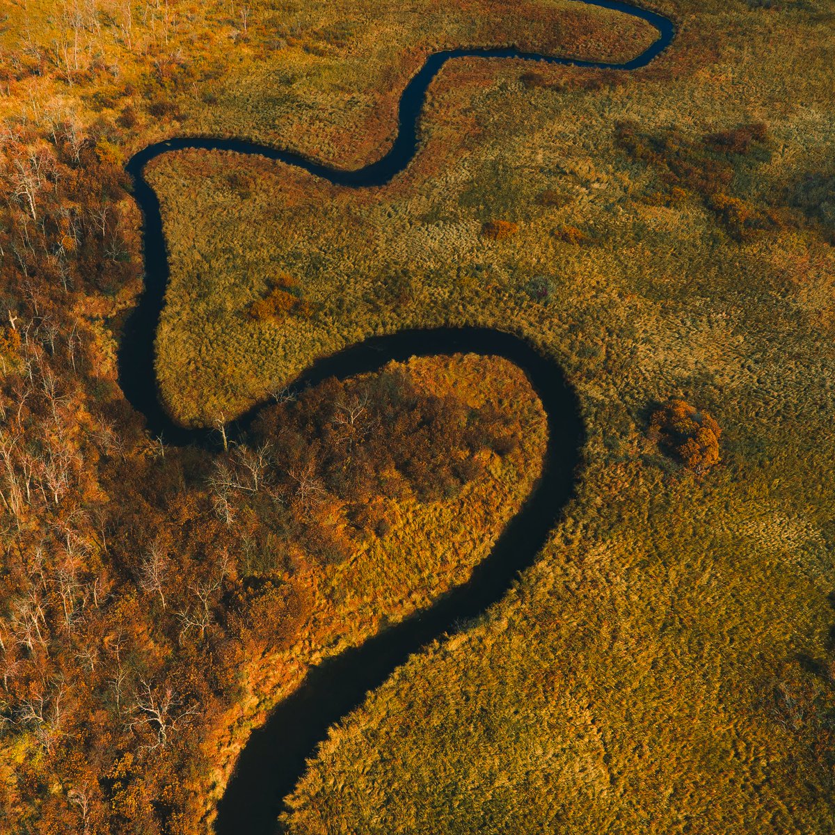 MatthewRMyersTV's tweet photo. Something about the fall weather makes me want to fly more drone more often. This morning I got some nice shots in Washington County. 

#drone #river #dronephotography #windingriver #autumn #autumnphotography #dji #djiphotography https://t.co/ybW26MdZQ2